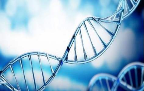 百(bai)傲(ao)2019再穫三(san)證(zheng),進入(ru)DNA免(mian)提(ti)時(shi)代(dai)