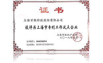 上海市(shi)專(zhuan)利工作試點企(qi)業